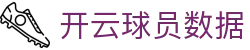开云球员数据与表现对比